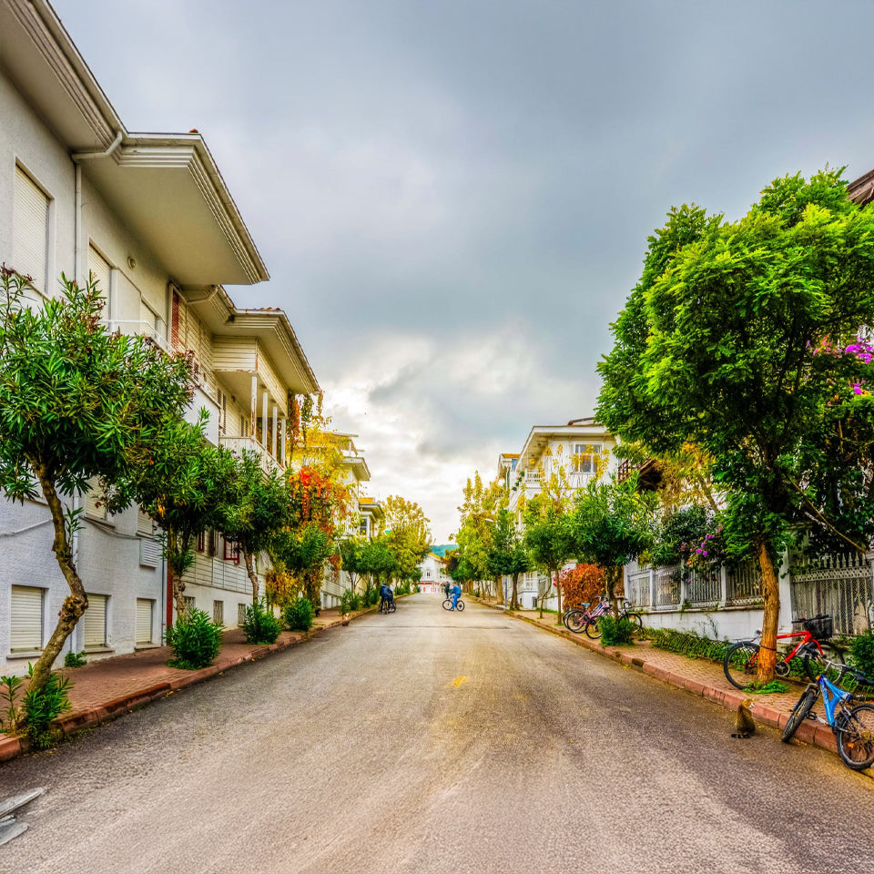 Princes’ Islands Tour (Full Day)